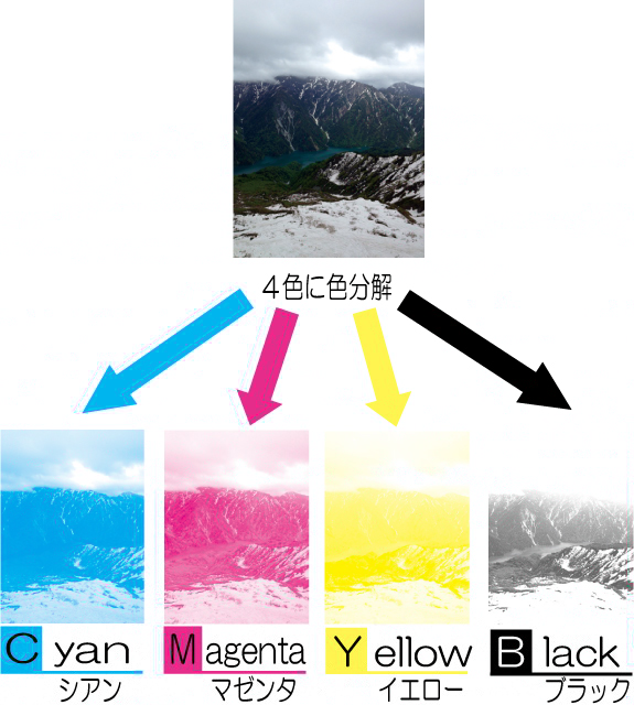 4色分解ってなに？カード印刷で表現できる色味について | 日本カード印刷