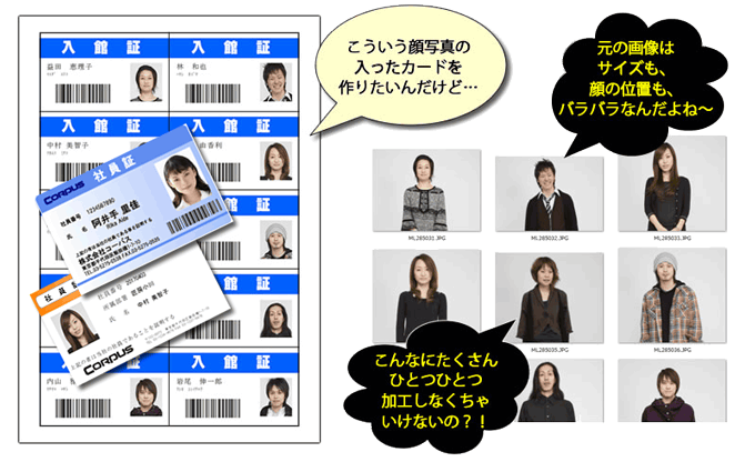 顔写真トリミングソフトのご紹介 社員証や学生証の作成に便利 日本カード印刷